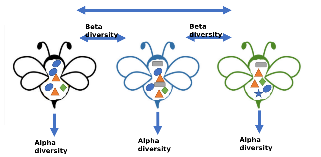 AlphaAndBetaDiversity